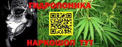 шишки Рыбинск