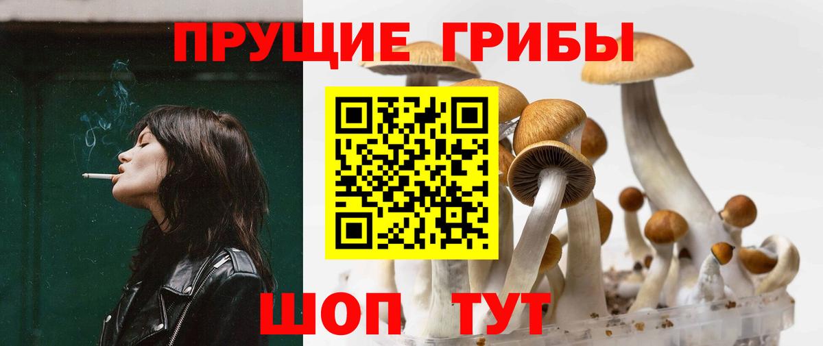Галлюциногенные грибы Psilocybine cubensis Семёнов